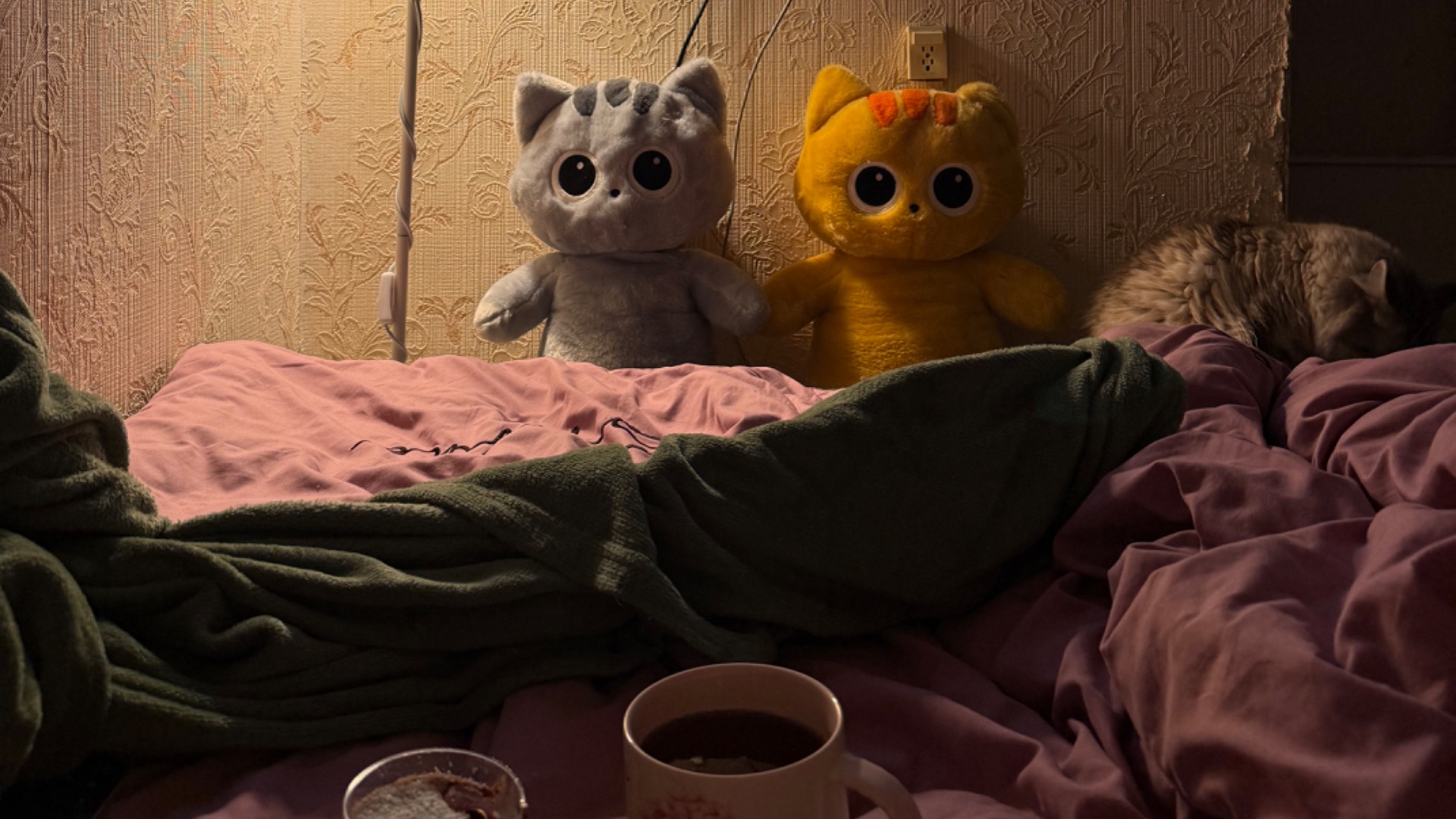 VLOG 23.02-25.02 Сочинили песню. Весенняя распаковка из Ленты!