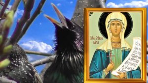 1 апреля день Дарьи. Веселитесь в этот день, подшучивайте и никому ничего не обещайте.