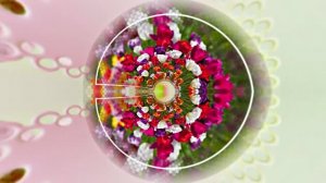 Весна! Очаровательные тюльпаны 3! Киностудия Мудрого Кота Тимофея!