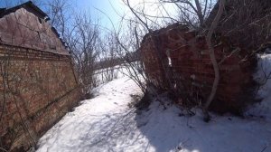 Облет среднерусских пчел в марте! Приокские пчелы