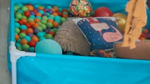 отдых и мечты в деревне о весне ура