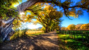 ОЧЕНЬ КРАСИВАЯ УСПОКАИВАЮЩАЯ РЕЛАКС МУЗЫКА ДЛЯ СНА 🎵 РАССЛАБЛЯЮЩАЯ МУЗЫКА ДЛЯ ДУШИ В СОЛНЕЧНЫЙ ДЕНЬ