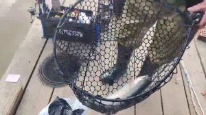 Поимка Форели