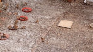 опять утро холодное