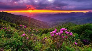 Коран сура Ар-Рум чтец Мухаммад аль-Факих