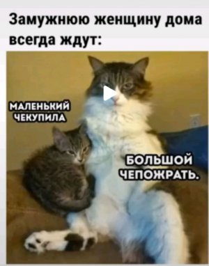 Прода стрим если хотите то заходите