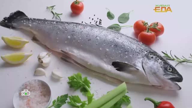 Морская рыба: топ-5 полезных видов | «Живая еда»