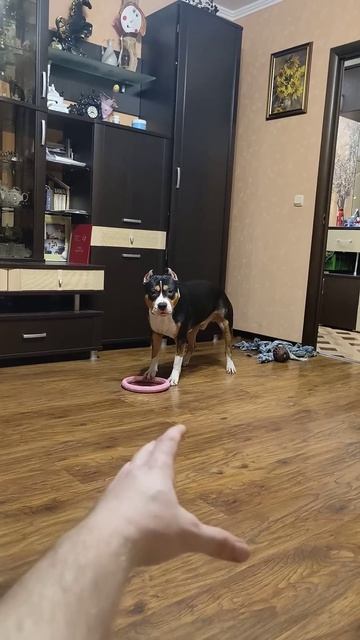 какого жмота вырастил