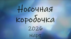 СП "Носочная коробочка - 6" с Катериной Шурм / Отчет марта.