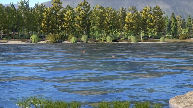 Мишки на Яме