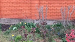 Виды города и болталка о моем питании 🙂