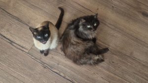 Курс массажа прошла...здорова как 🤣🤣🤣ждём деток