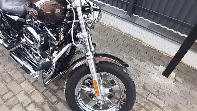 HD Sportster 2013 Custom 110th 1200XL