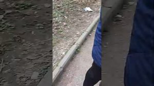 мы пошли в мг