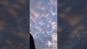 Я выживаю с монстром часть2