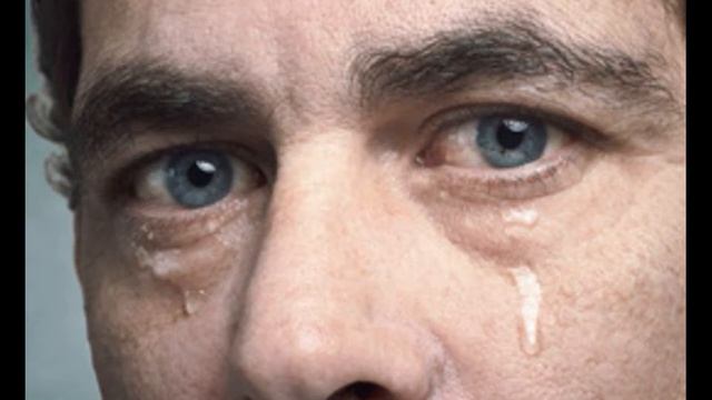 Баллада про рыжего пса