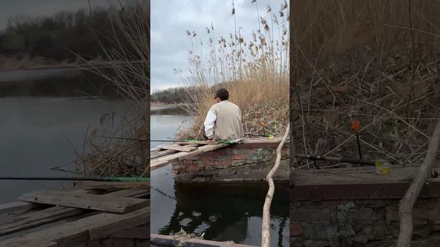 Гарпун 23 на рыбалке #shorts