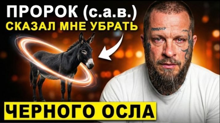 «Я принял ислам в Голливуде» – Пророк (мир ему) велел мне убрать чёрного осла во сне