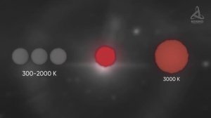 Самые странные звёзды Вселенной