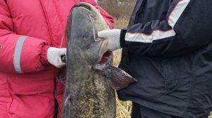 река Волхов , рыбачим