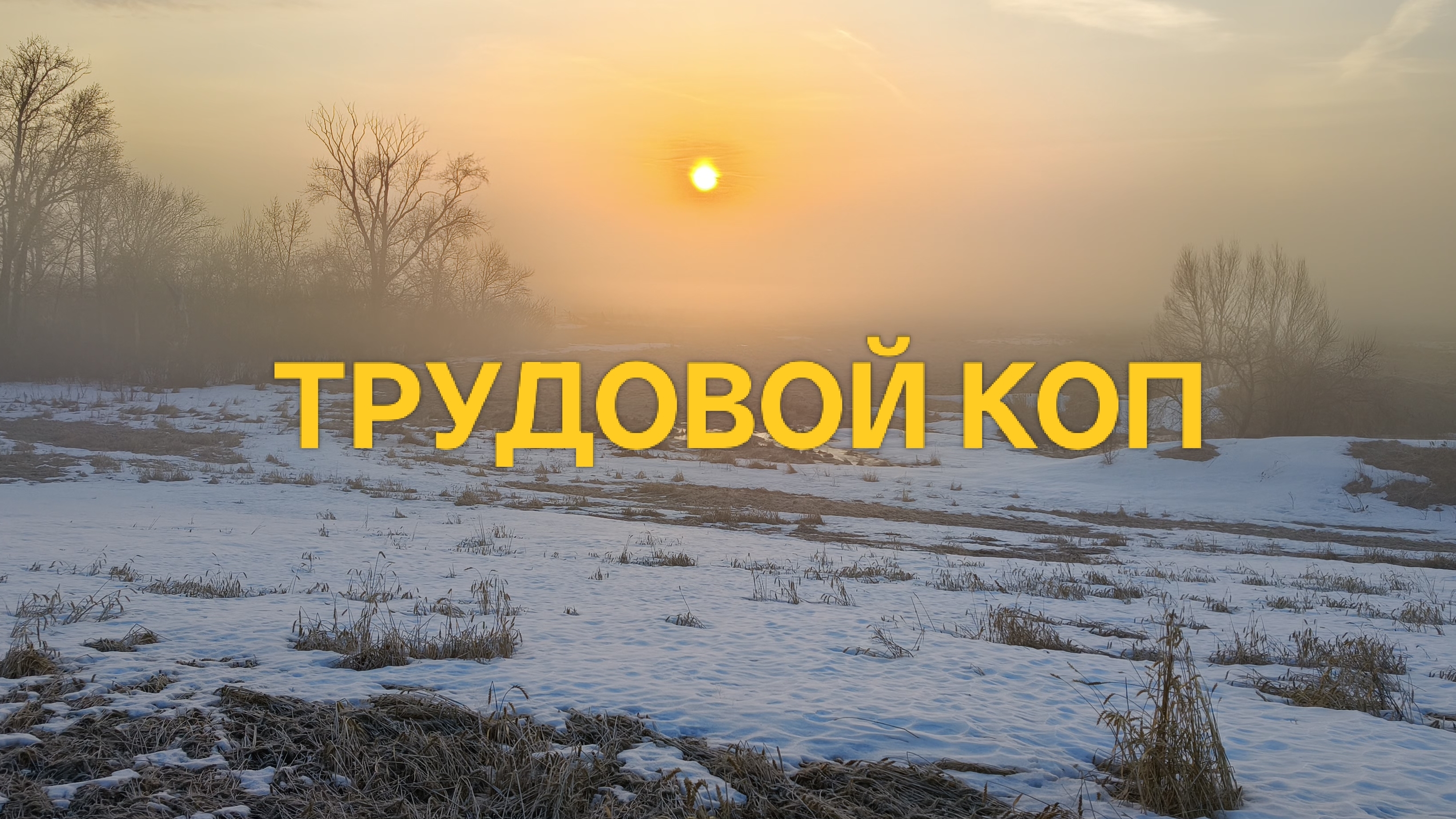 Трудовой коп/поиск монет с металлоискателем #поискмонет2026 #nokta #коп #NoktaTripleScore #63