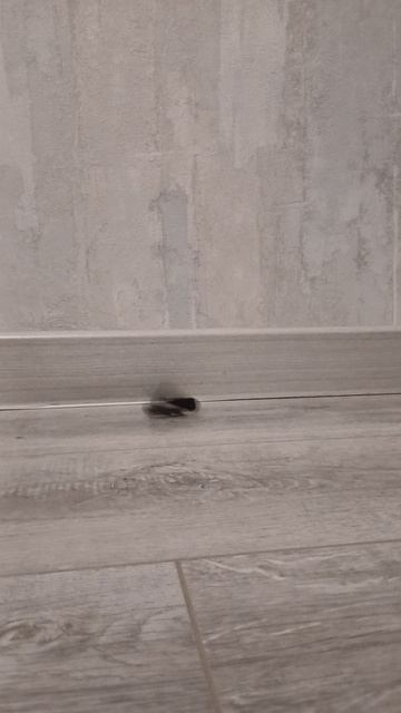 пластиковая пулька незамечена