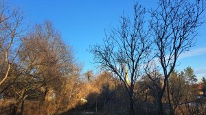 Наконец-то весна 💥 гуляем с Никой . Разбираю рабочее место