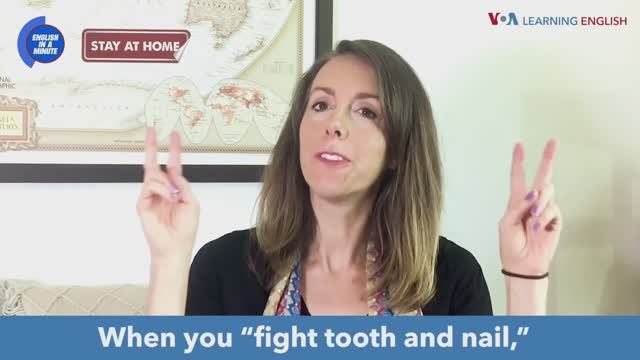 Fight Tooth And Nail — американский английский, сленг и идиомы