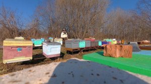 прием заказов МАТОК F 1 на 2026 год обьявляю открытым