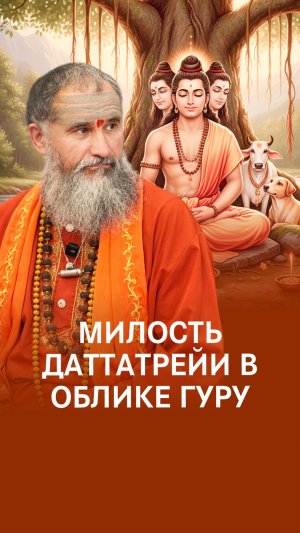 Связь с Учителем: когда Гуру начинает учить вас?