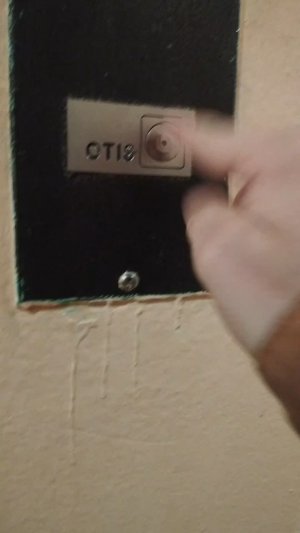 Мы идём гулять с собакой! | 28-мар-2026 3