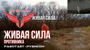 Живая сила противника. «Рубикон» продолжает раздавать порции пластида пехоте ВСУ в зоне СВО