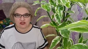 1 часть. Почему куча не хочет гостей дома❓️