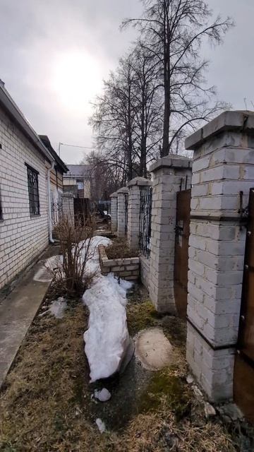 1000153667.mp4 смотреть онлайн