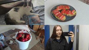 АРХИВ 2023 I у меня неприятности | делаю вид, что проблем нет | vlog 17-23.06.2023