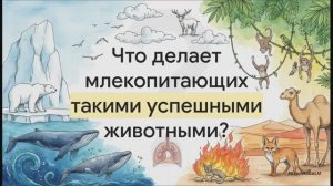 Биология 8 класс параграф 47 Внутреннее строение и жизнедеятельность млекопитающих