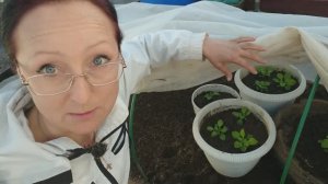 Видео привет с 6 соток 21 марта 2026 года.