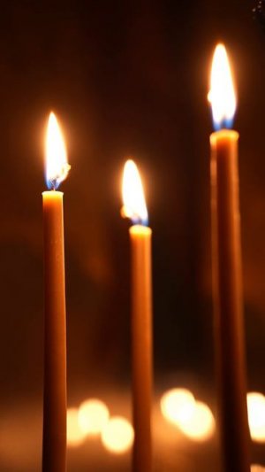 ВЗБРАННОЙ ВОЕВОДЕ | МАЛЫЙ ЗНАМЕННЫЙ РАСПЕВ | ХОР БРАТИИ ВАЛААМСКОГО МОНАСТЫРЯ #валаам #знаменное