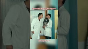 Купитман подобрал пуделя