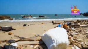 местный фрагмент эфира шлëпа ТВ Екатеринбург 28.03.2026