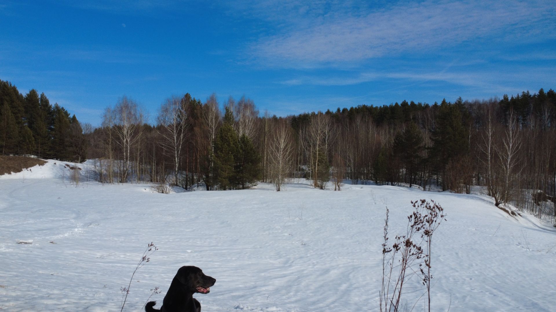 На охотничьих лыжах впервые или закрытие сезона