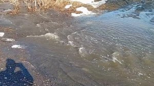 были на даче 😒 28 .03 .26