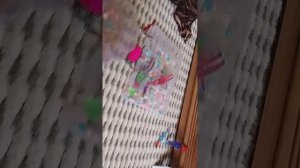 тренировка на гимнастике художественной 🫪