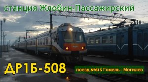 Дизель-поезд ДР1Б-508 (поезд №613 Гомель – Могилев) на станции Жлобин-Пассажирский