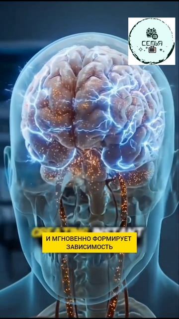 ВОТ ЧТО ПРОИСХОДИТ С ОРГАНИЗМОМ ОТ КУРЕНИЯ
