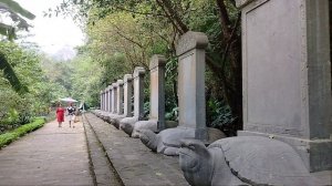 Монументы-черепахи!