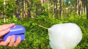 Настя и Ева заботятся о новых питомцах Битзи [get.gt]