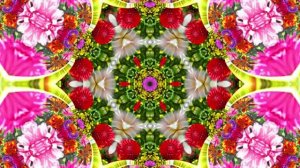 Футажи! Футаж Очаровательные фантастические пейзажи 2!