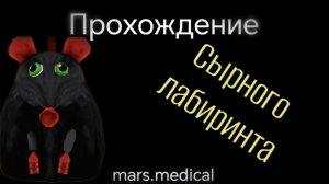 Прохождение сырного лабиринта