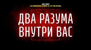 #3 Два разума внутри Вас [Ты привлекаешь в жизнь то, что чувствуешь]